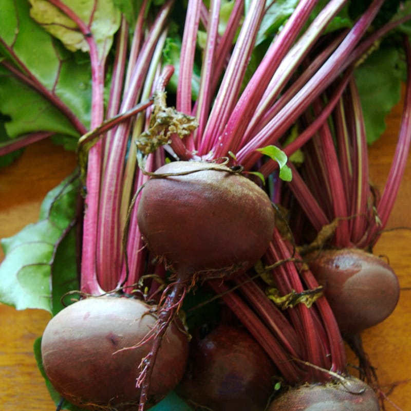 Beet