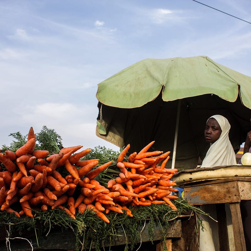 Orange Carrot