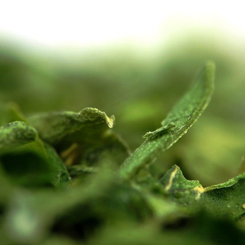 Parsley