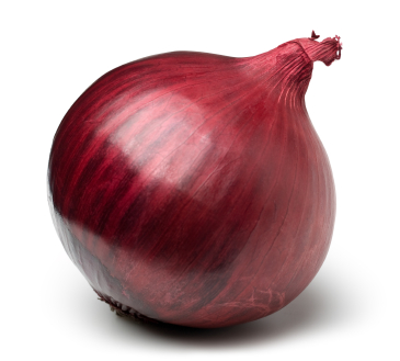 בצל סגול