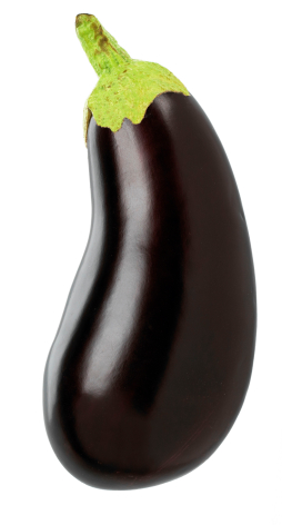 חציל