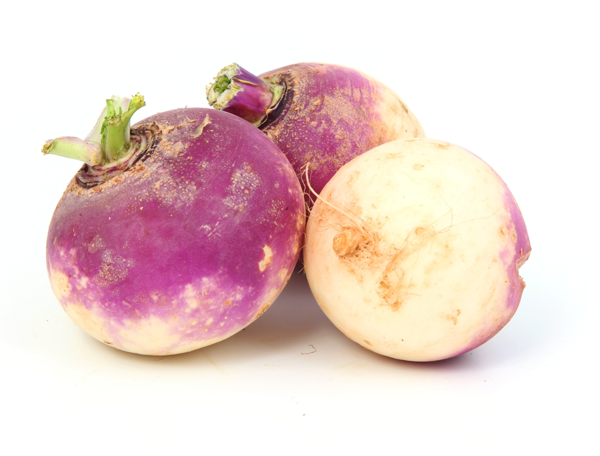 כרוב שוודי