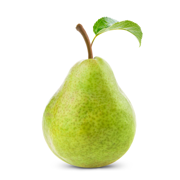 אגס ספדונה גדול