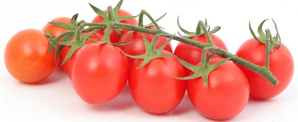 עגבניות שרי אשכולות