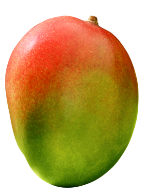 מנגו מאיה