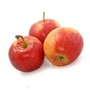 ת. עץ גלה גדול