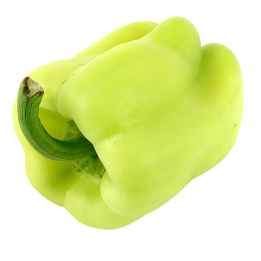 פלפל בהיר נהריה