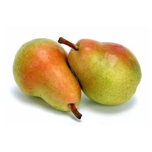 אגס קוסטיה