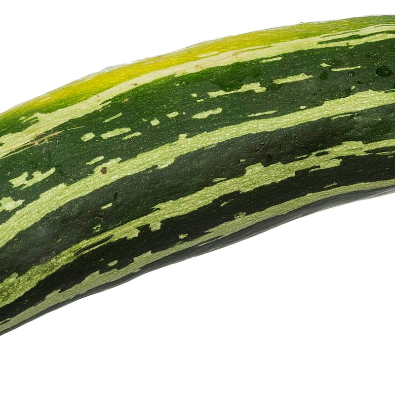 קישוא